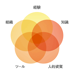 CIOのポテンシャル